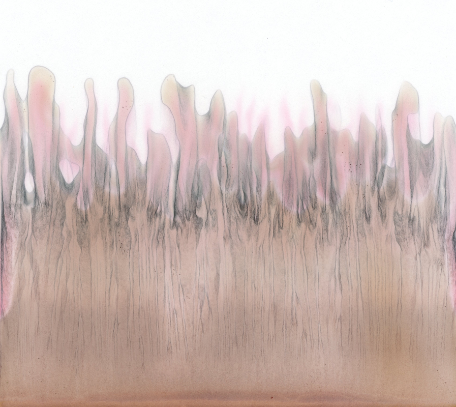 stijgbeeld chroma kristalisatie 20-6-23 framboos bio van 16-23753