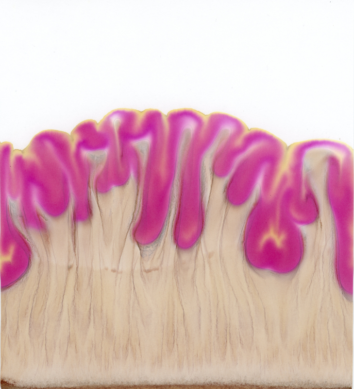 stijgbeeld chroma kristalisatie 2023-07-29 Rode biet Robuschka Veld-en-Beek D 1 A