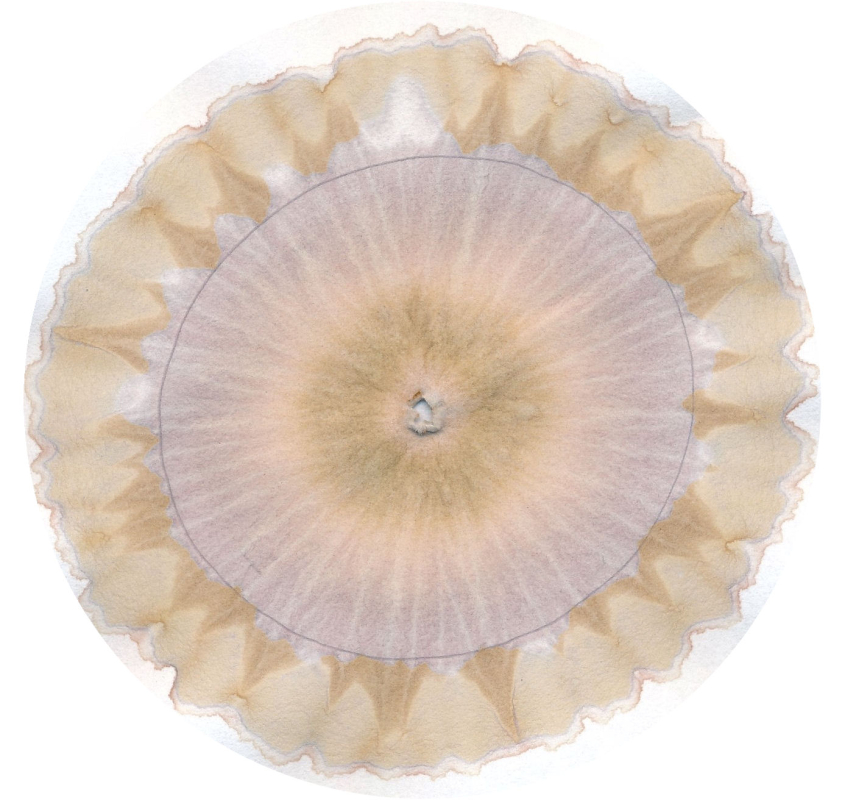 stijgbeeld chroma kristalisatie Afbeelding1