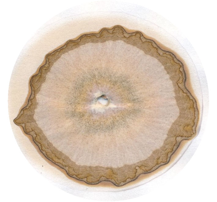 stijgbeeld chroma kristalisatie Afbeelding2