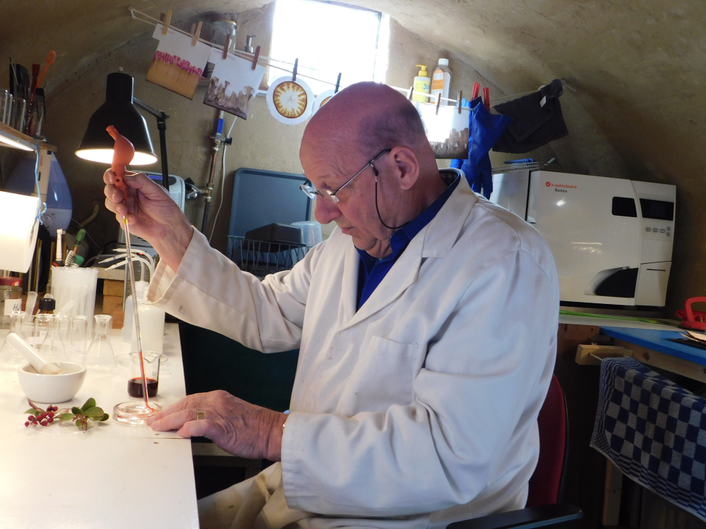 stijgbeeld chroma kristalisatie DSCN2420