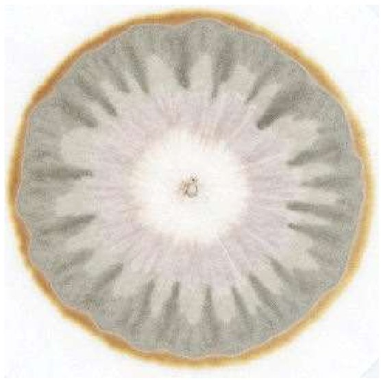 stijgbeeld chroma kristalisatie Screenshot 569