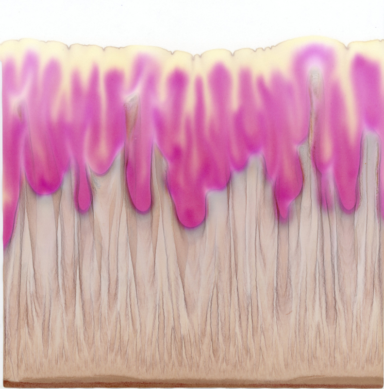 stijgbeeld chroma kristalisatie rode biet rauw 16-2-24 2