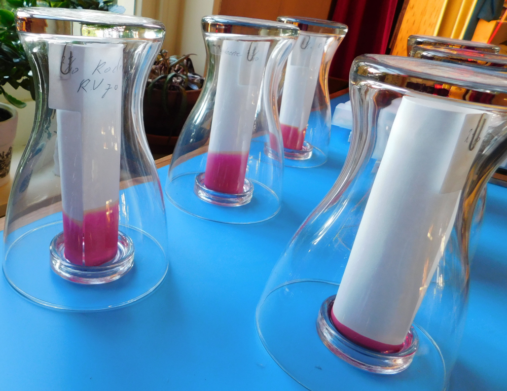 stijgbeeld chroma kristalisatie stijgbeeld