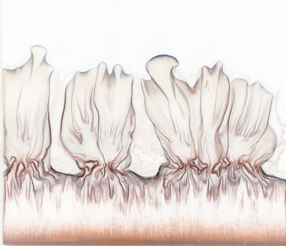stijgbeeld chroma kristalisatie stijgbeeld 26-6-23 van 22-6 1 op 5 verdund773